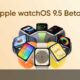 Apple watchOS 9.5 beta 2