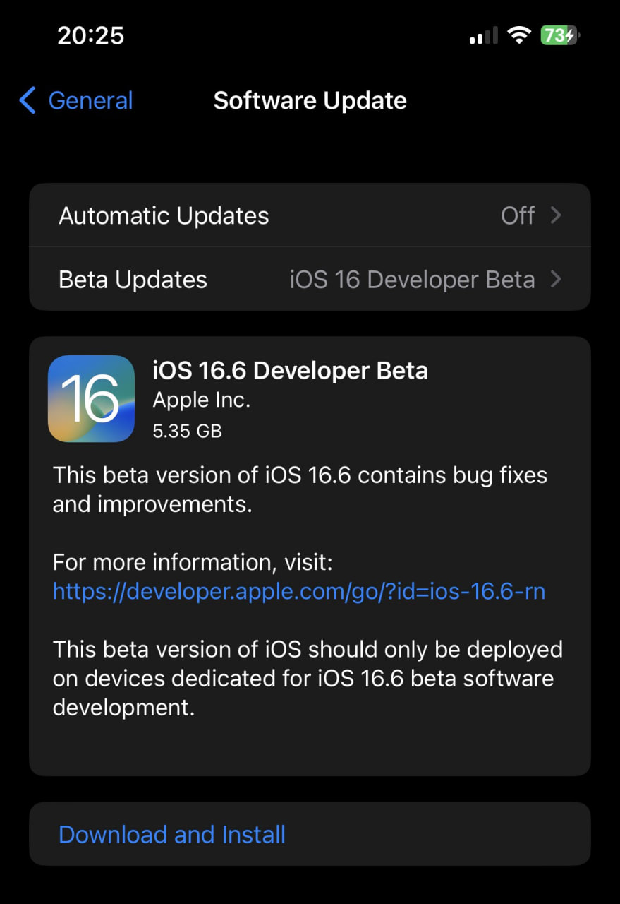 Apple iOS 16.6 beta developers
