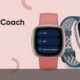 Fitbit Coach feature
