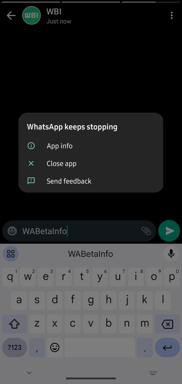 WhatsApp app crashing fix update