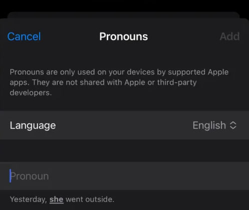 Apple Contacts pronouns field iOS 17