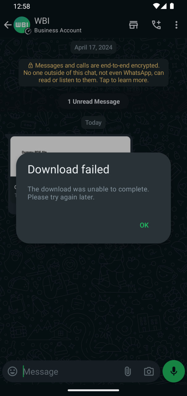 WhatsApp Documents Download issues resolved