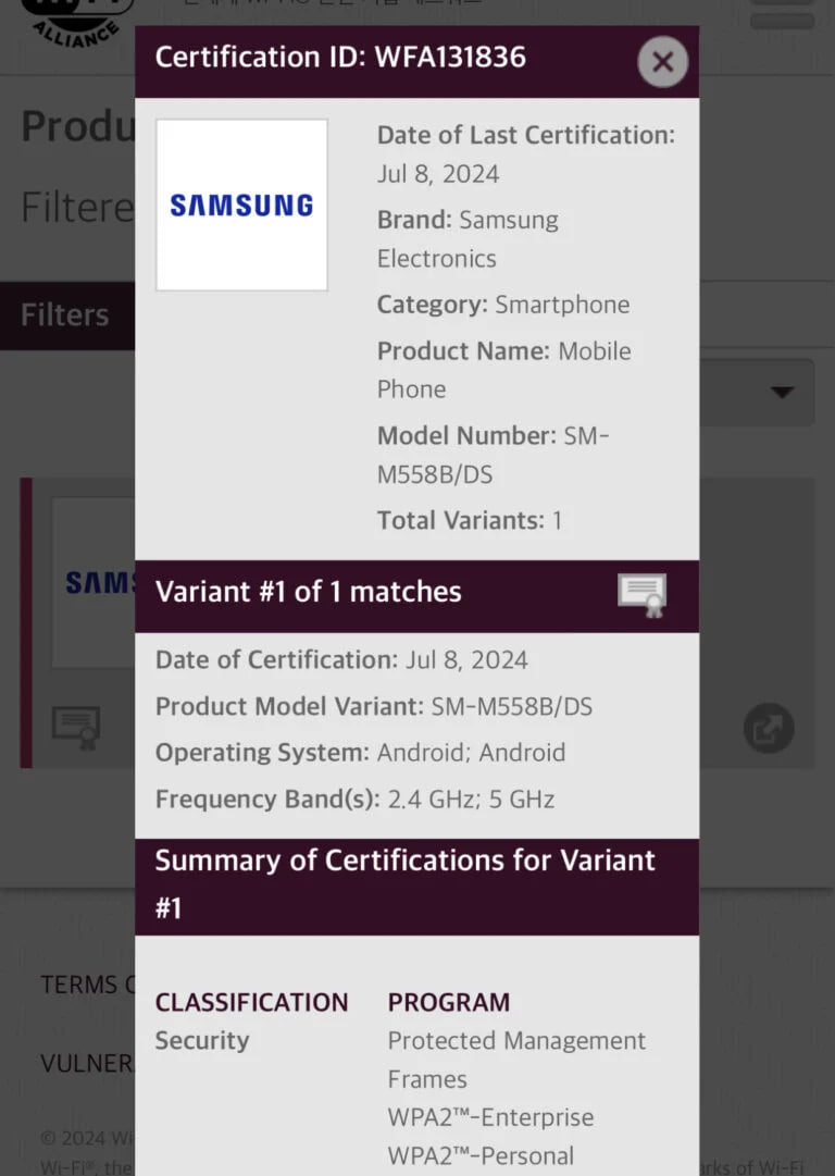 Samsung Galaxy M55s